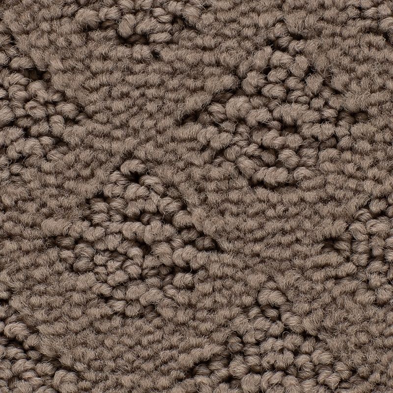 Classic Style 799 Catalina 25 oz. Triexta Smartstrand Pattern Indoor Carpet Flooring 12' Feet Wide (9 sf / yd)