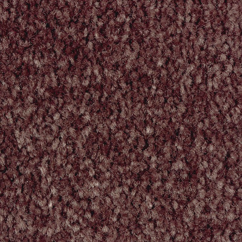 Classical Design III 374 Mademoiselle 58 oz. Triexta Smartstrand Texture Indoor Carpet Flooring 12' Feet Wide (9 sf / yd)