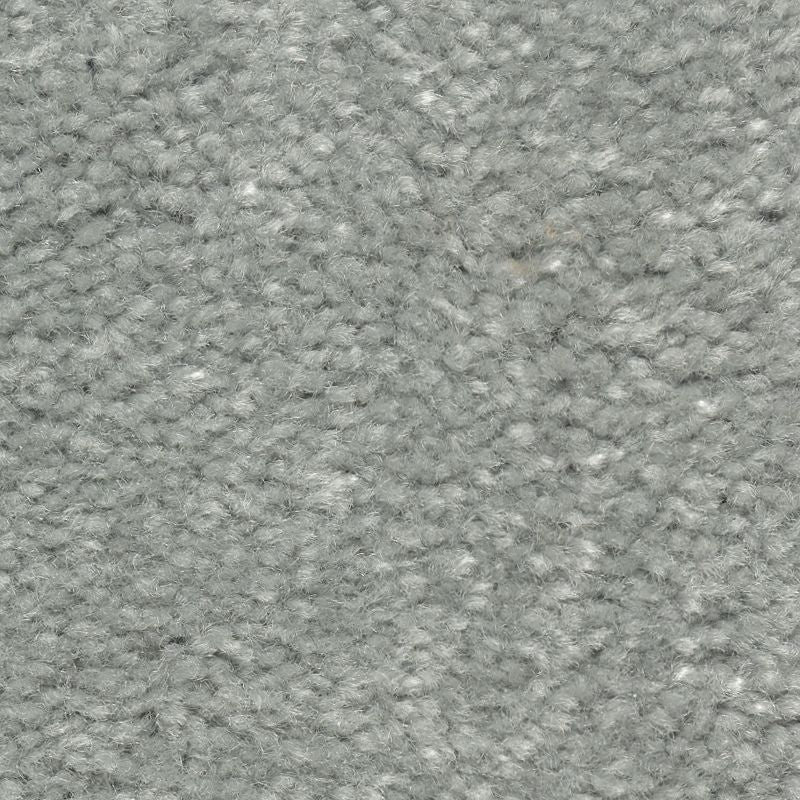 Classical Design III 648 Forgotten Statue 58 oz. Triexta Smartstrand Texture Indoor Carpet Flooring 12' Feet Wide (9 sf / yd)