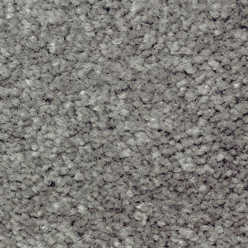 Classical Design III 670 Egyptian Jewel 58 oz. Triexta Smartstrand Texture Indoor Carpet Flooring 12' Feet Wide (9 sf / yd)