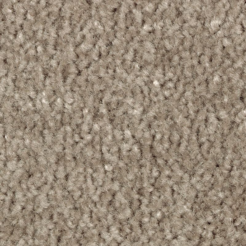 Classical Design III 840 Teak 58 oz. Triexta Smartstrand Texture Indoor Carpet Flooring 12' Feet Wide (9 sf / yd)