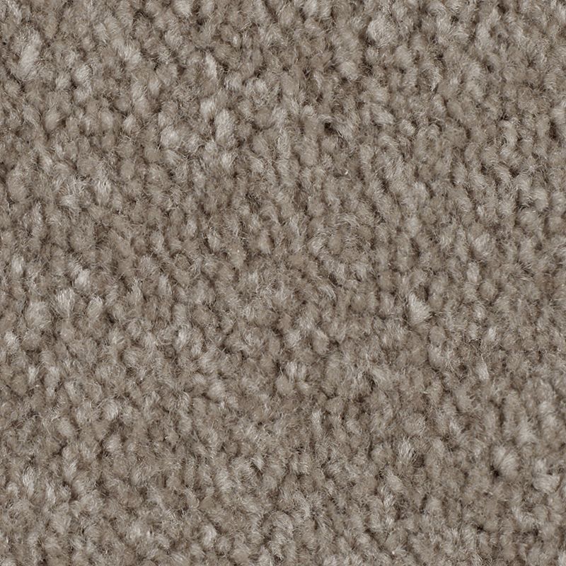 Classical Design II 769 Wool Socks 48 oz. Triexta Smartstrand Texture Indoor Carpet Flooring 12' Feet Wide (9 sf / yd)