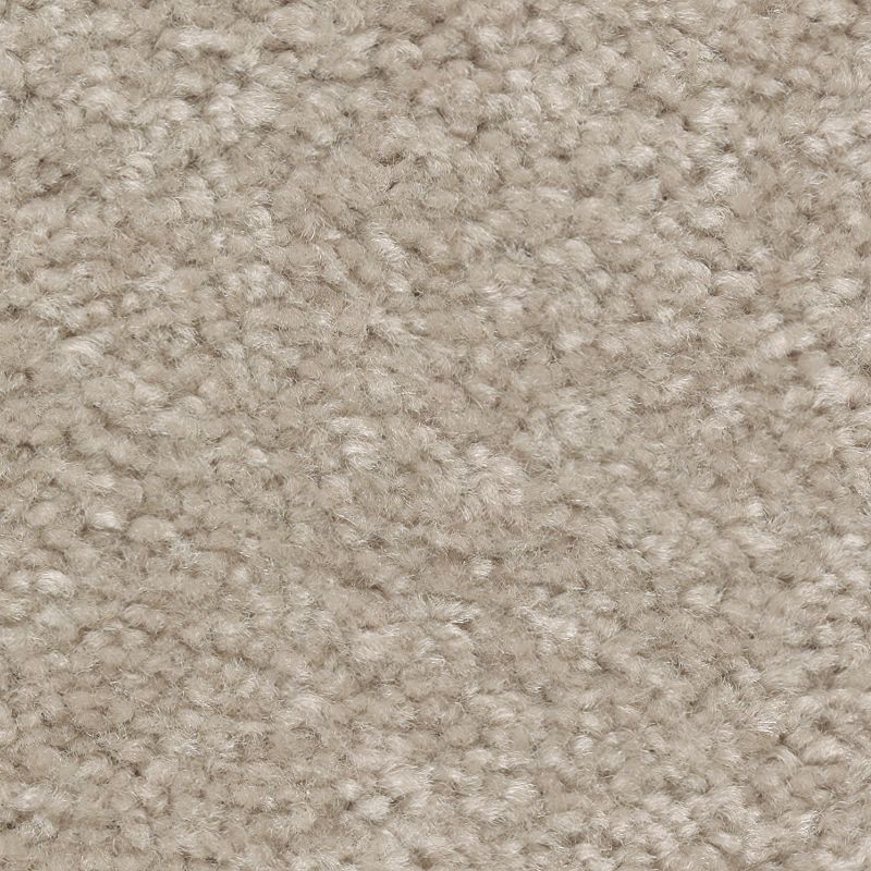 Classical Design II 816 Cappuccino 48 oz. Triexta Smartstrand Texture Indoor Carpet Flooring 12' Feet Wide (9 sf / yd)