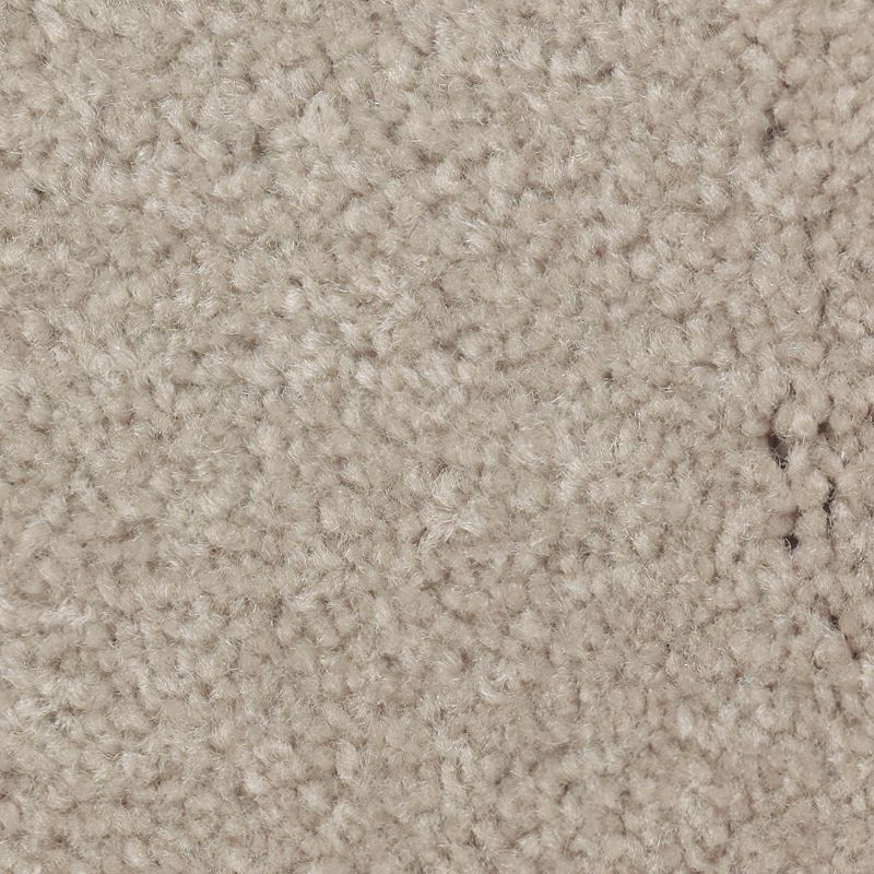 Classical Design II 818 Tahoe Taupe 48 oz. Triexta Smartstrand Texture Indoor Carpet Flooring 12' Feet Wide (9 sf / yd)