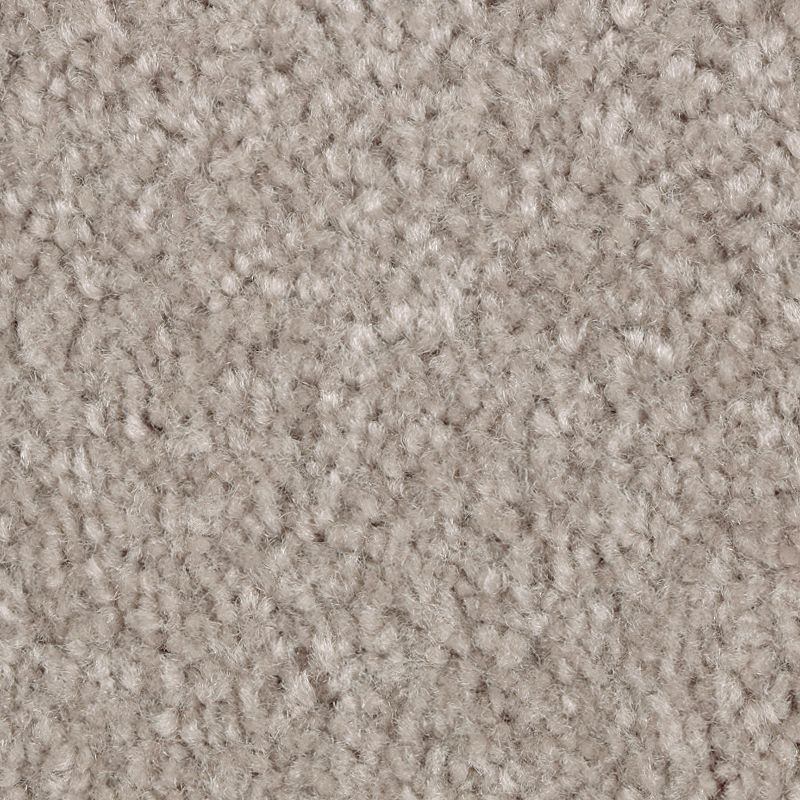 Classical Design II 820 Quailridge 48 oz. Triexta Smartstrand Texture Indoor Carpet Flooring 12' Feet Wide (9 sf / yd)