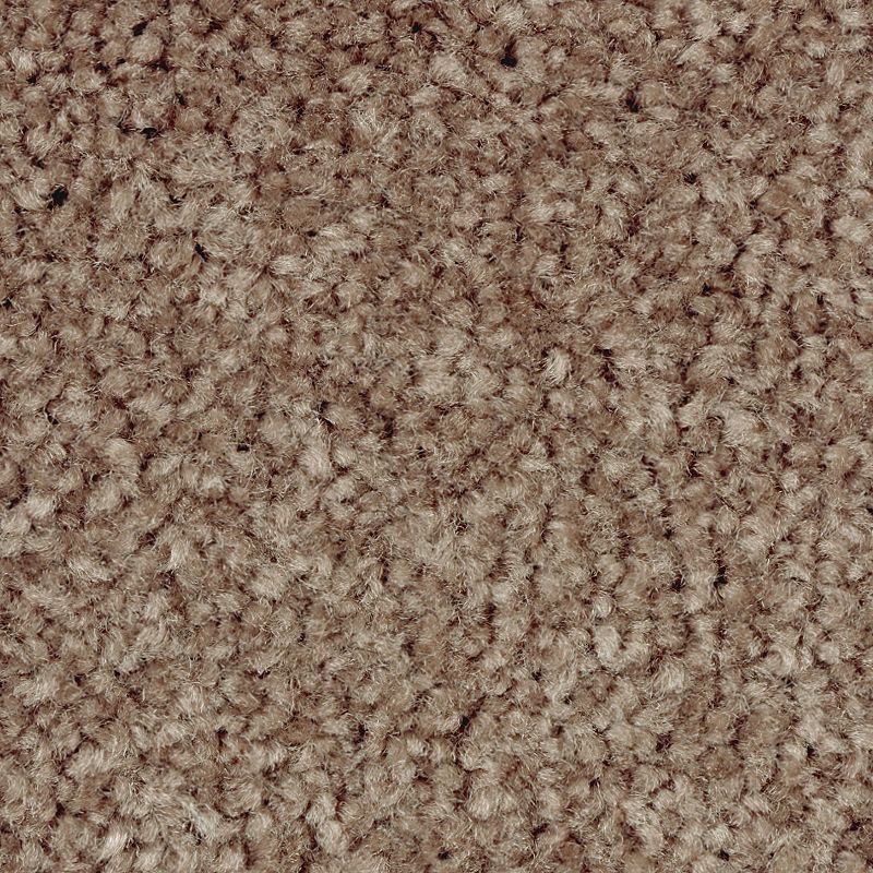Classical Design II 854 Fisher's Wharf 48 oz. Triexta Smartstrand Texture Indoor Carpet Flooring 12' Feet Wide (9 sf / yd)