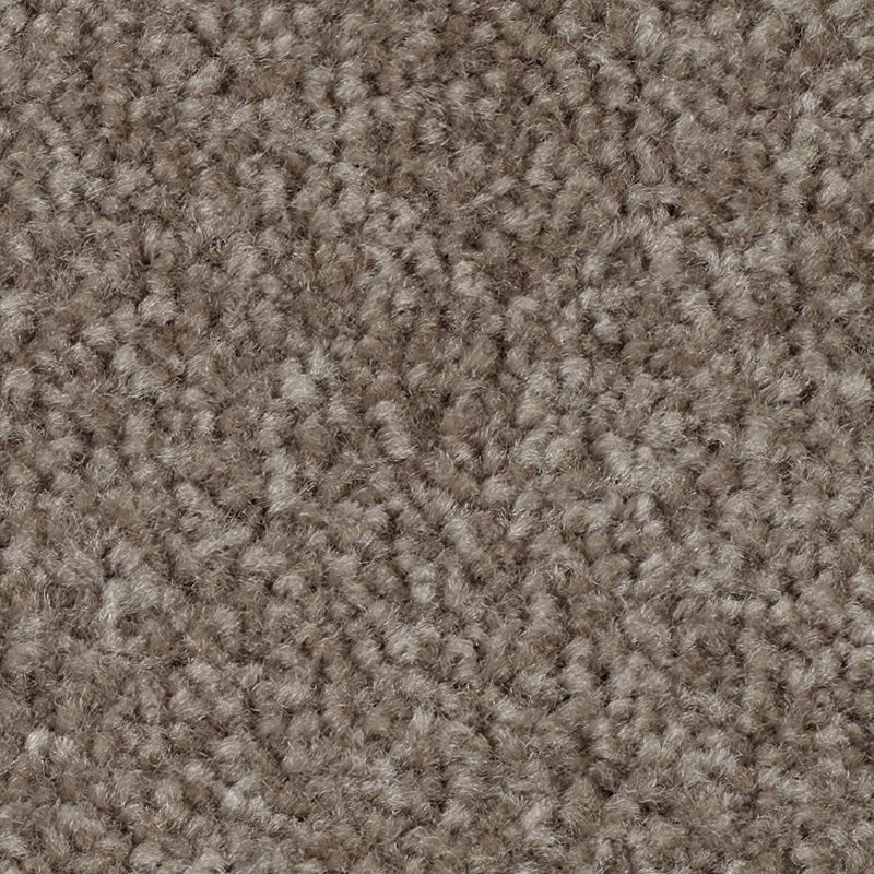 Classical Design II 858 Pecan Bark 48 oz. Triexta Smartstrand Texture Indoor Carpet Flooring 12' Feet Wide (9 sf / yd)