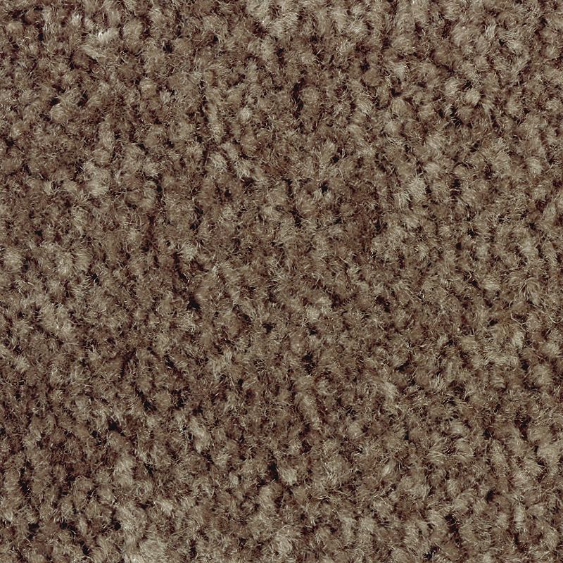 Classical Design II 860 Rustic Beam 48 oz. Triexta Smartstrand Texture Indoor Carpet Flooring 12' Feet Wide (9 sf / yd)