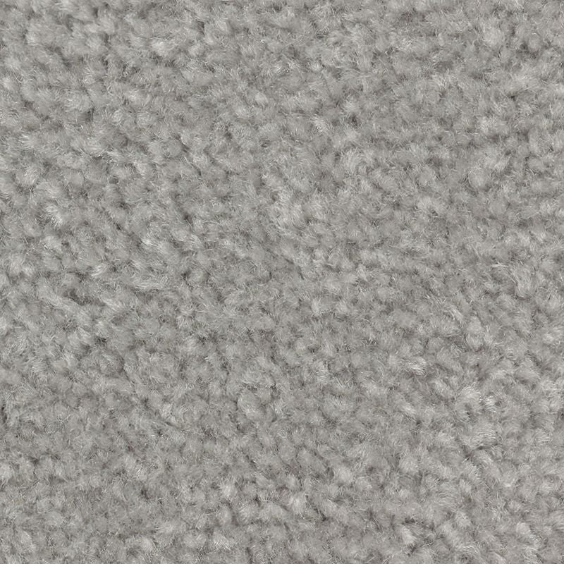 Classical Design II 949 Aspen Summit 48 oz. Triexta Smartstrand Texture Indoor Carpet Flooring 12' Feet Wide (9 sf / yd)