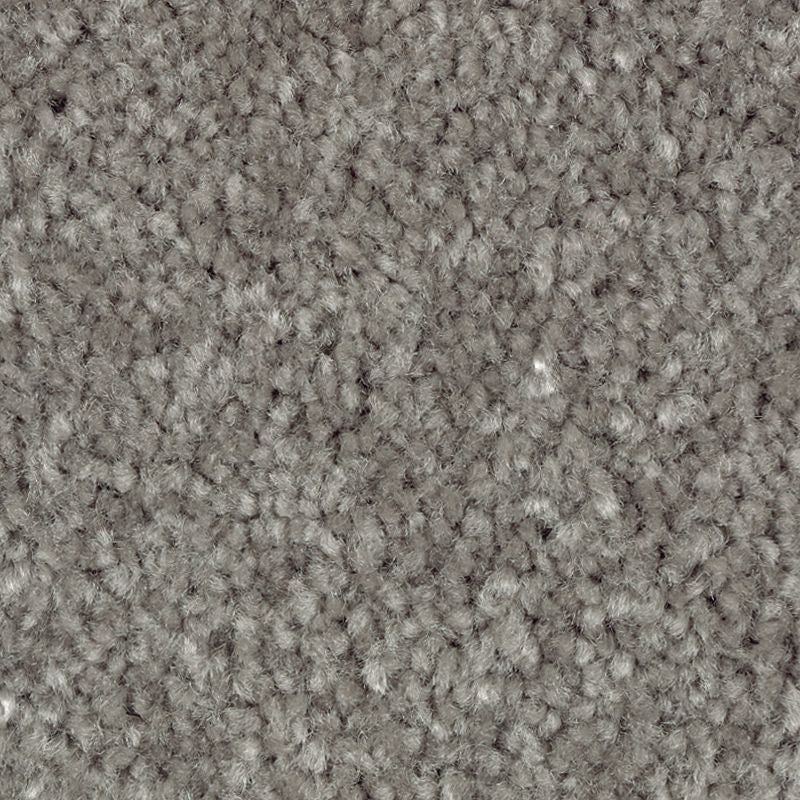 Classical Design II 974 Thundercloud 48 oz. Triexta Smartstrand Texture Indoor Carpet Flooring 12' Feet Wide (9 sf / yd)