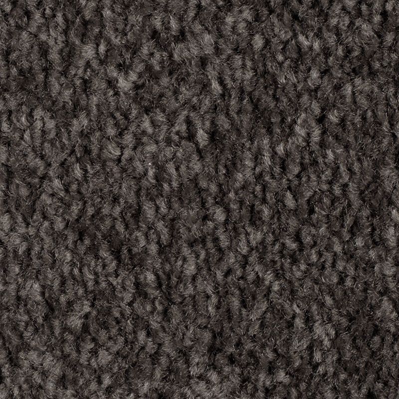 Classical Design II 984 Meteorite 48 oz. Triexta Smartstrand Texture Indoor Carpet Flooring 12' Feet Wide (9 sf / yd)