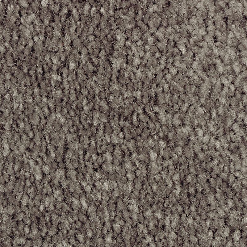 Classical Design II 987 Night Phantom 48 oz. Triexta Smartstrand Texture Indoor Carpet Flooring 12' Feet Wide (9 sf / yd)