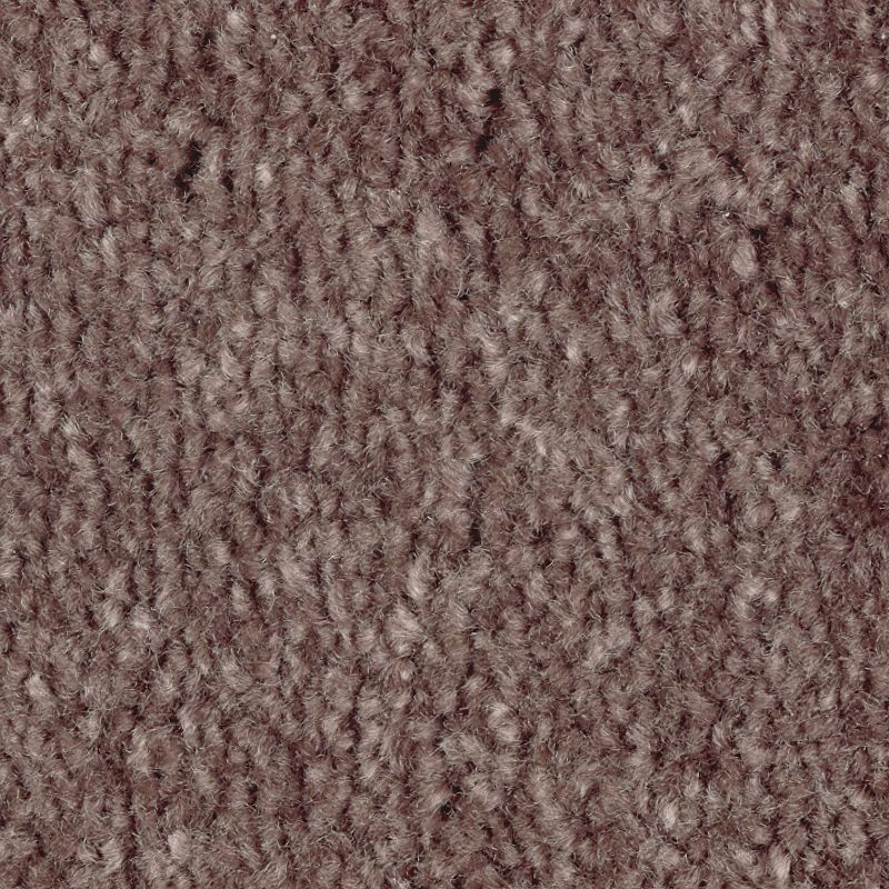 Classical Design I 363 Flora 38 oz. Triexta Smartstrand Texture Indoor Carpet Flooring 12' Feet Wide (9 sf / yd)