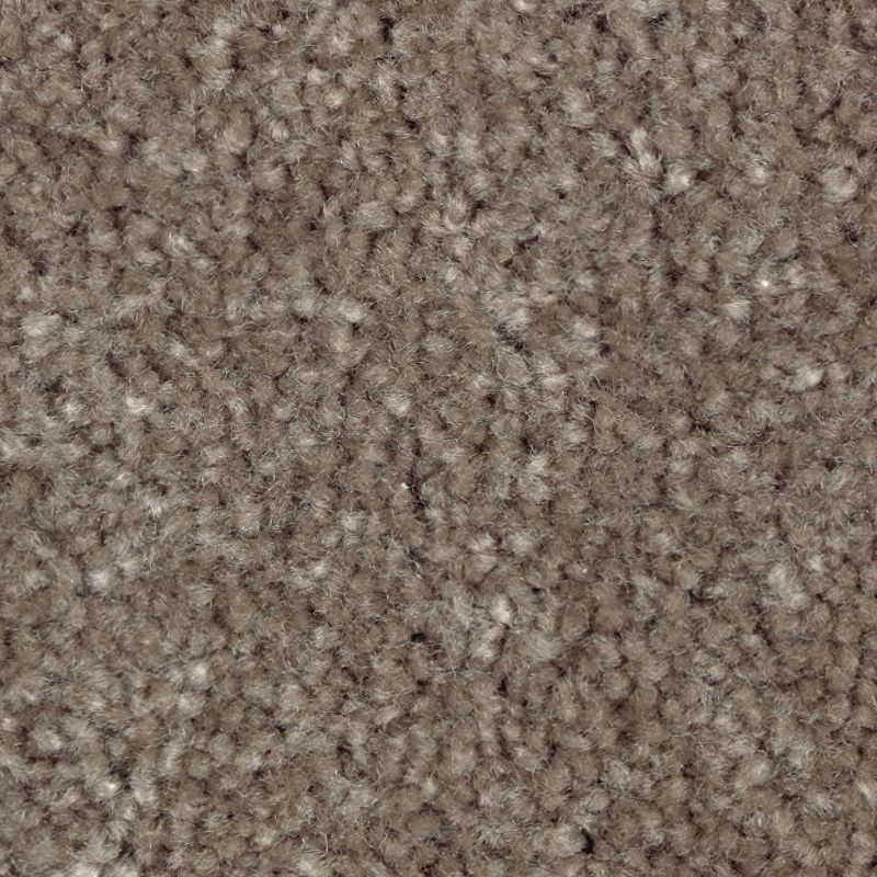 Classical Design I 850 Coco Mocha 38 oz. Triexta Smartstrand Texture Indoor Carpet Flooring 12' Feet Wide (9 sf / yd)