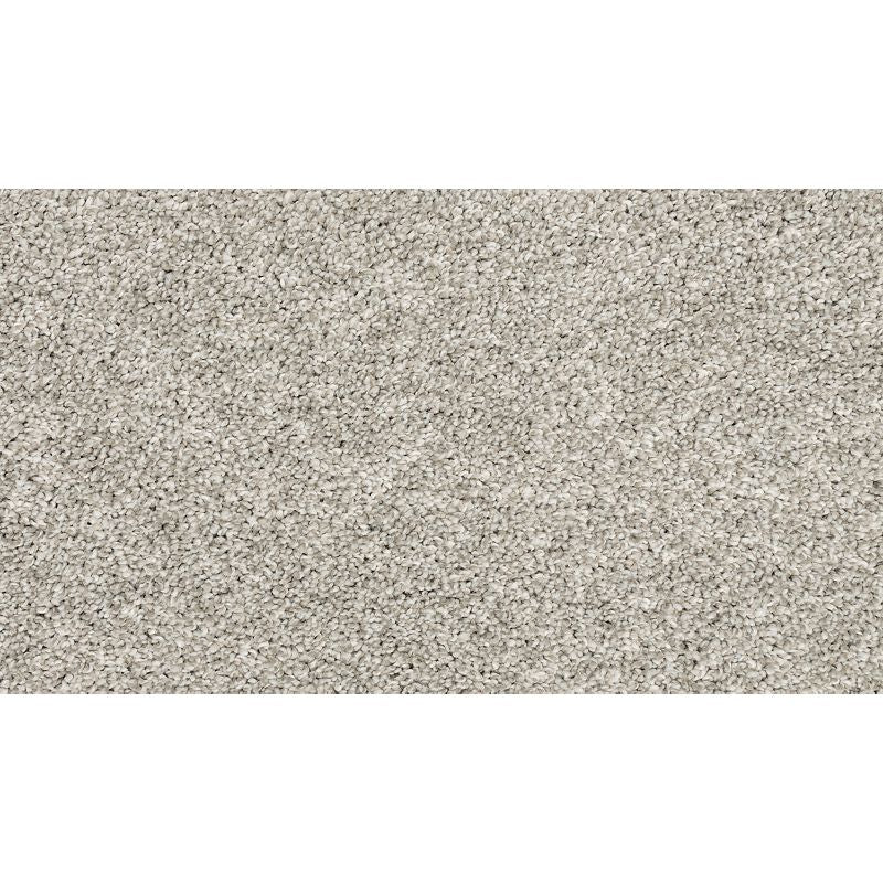 Claws And Effect II 909 Mercury 58 oz. Polyester Everstrand Texture Indoor Carpet Flooring 12' Feet Wide (9 sf / yd)