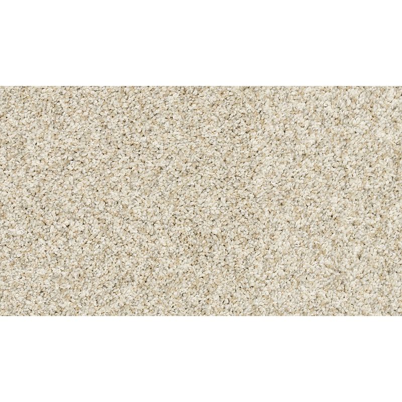 Claws And Effect II 917 London Fog 58 oz. Polyester Everstrand Texture Indoor Carpet Flooring 12' Feet Wide (9 sf / yd)
