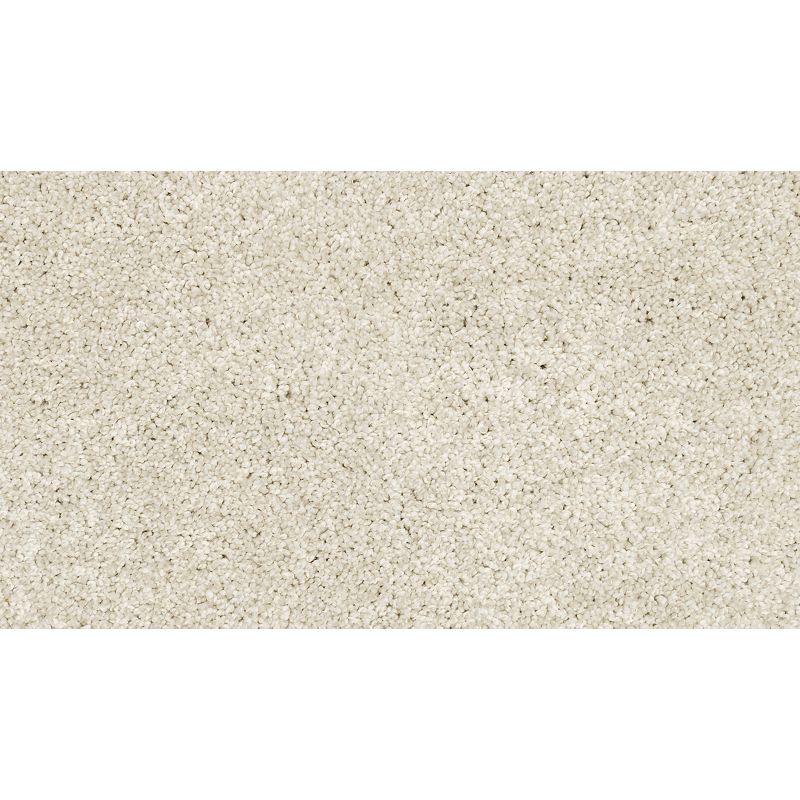 Claws And Effect I 901 Haze 43 oz. Polyester Everstrand Texture Indoor Carpet Flooring 12' Feet Wide (9 sf / yd)