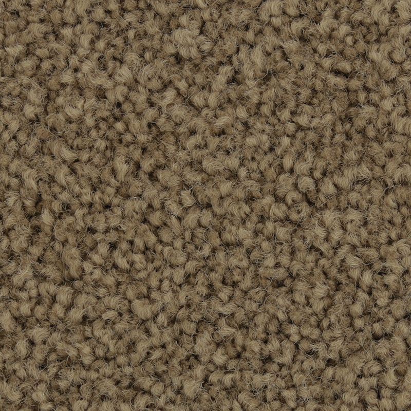 Coastal Fashion III 783 Tradition 55 oz. Nylon Ultrastrand Texture Indoor Carpet Flooring 12' Feet Wide (9 sf / yd)