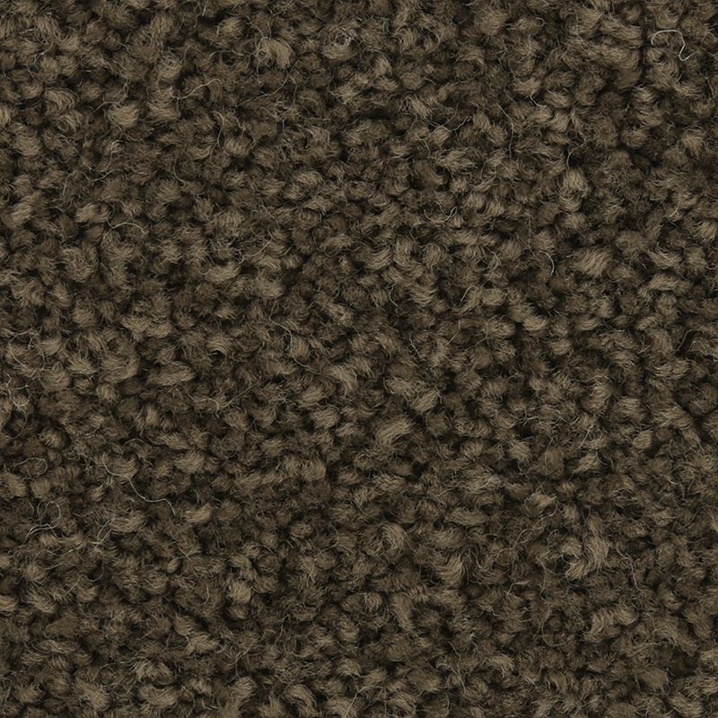 Coastal Fashion III 879 Buoy 55 oz. Nylon Ultrastrand Texture Indoor Carpet Flooring 12' Feet Wide (9 sf / yd)
