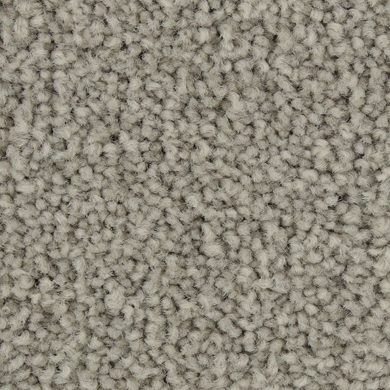 Coastal Fashion III 925 Dewdrop 55 oz. Nylon Ultrastrand Texture Indoor Carpet Flooring 12' Feet Wide (9 sf / yd)