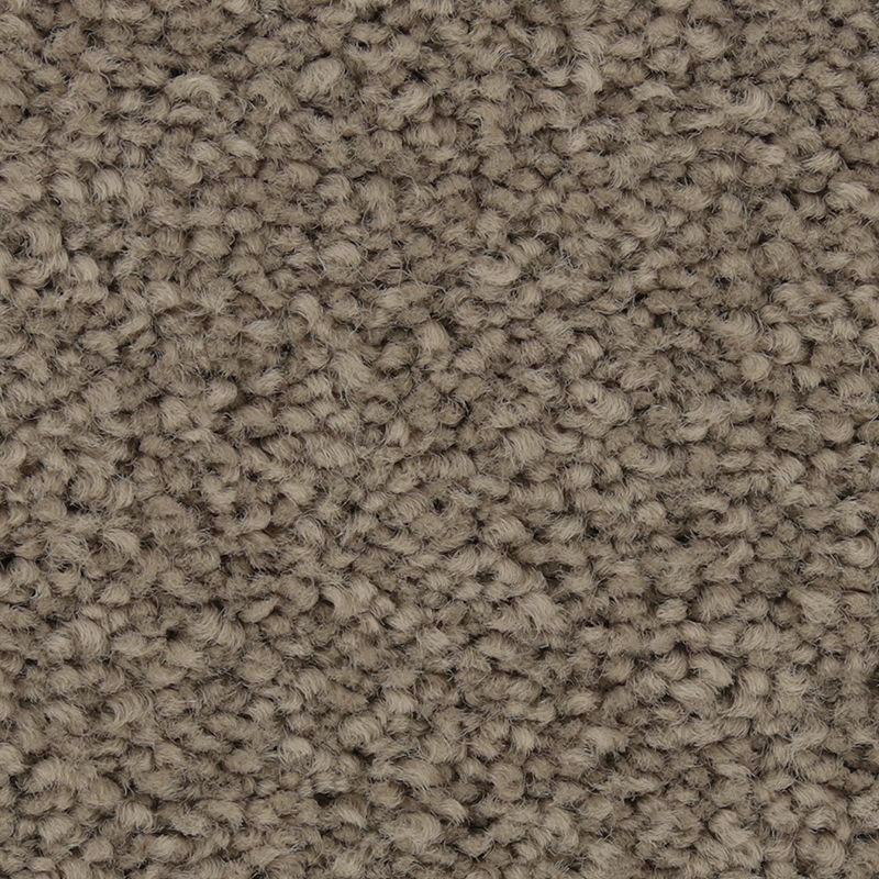 Coastal Fashion III 942 Porpoise 55 oz. Nylon Ultrastrand Texture Indoor Carpet Flooring 12' Feet Wide (9 sf / yd)