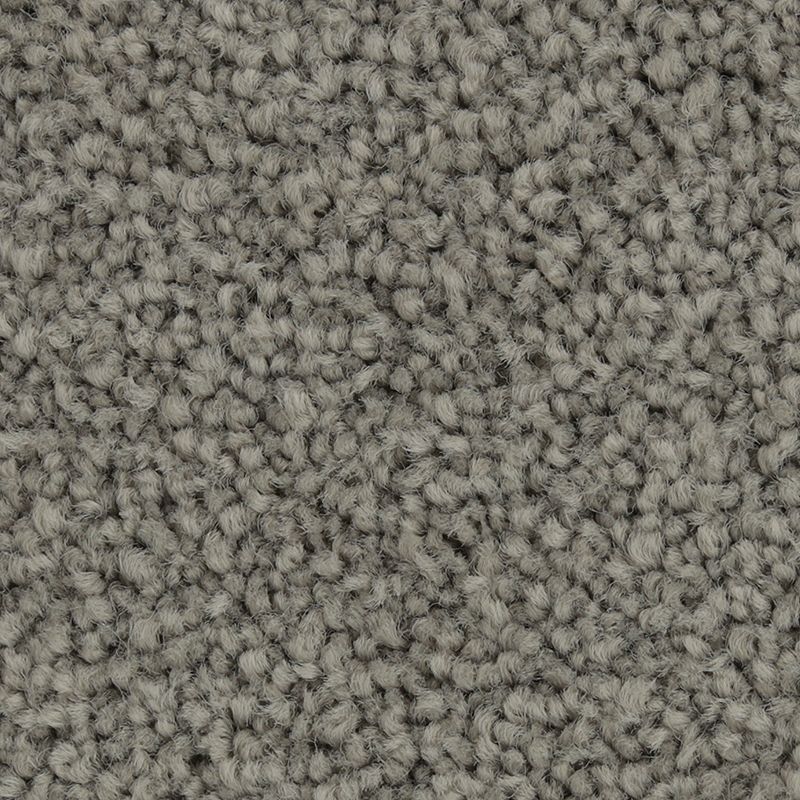 Coastal Fashion III 953 Overcast 55 oz. Nylon Ultrastrand Texture Indoor Carpet Flooring 12' Feet Wide (9 sf / yd)