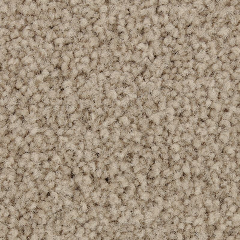 Coastal Fashion II 803 Soft Feather 45 oz. Nylon Ultrastrand Texture Indoor Carpet Flooring 12' Feet Wide (9 sf / yd)