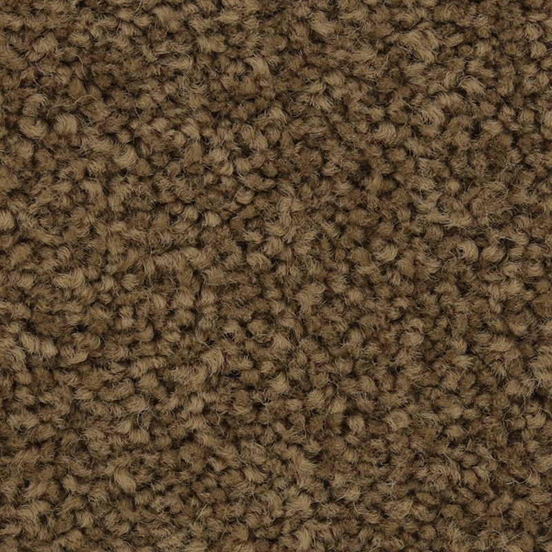 Coastal Fashion II 850 Captain 45 oz. Nylon Ultrastrand Texture Indoor Carpet Flooring 12' Feet Wide (9 sf / yd)