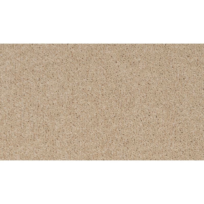 Coastal Fashion I 712 Dune 35 oz. Nylon Ultrastrand Texture Indoor Carpet Flooring 12' Feet Wide (9 sf / yd)