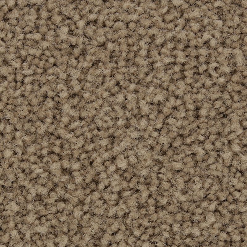 Coastal Fashion I 779 Driftwood 35 oz. Nylon Ultrastrand Texture Indoor Carpet Flooring 12' Feet Wide (9 sf / yd)