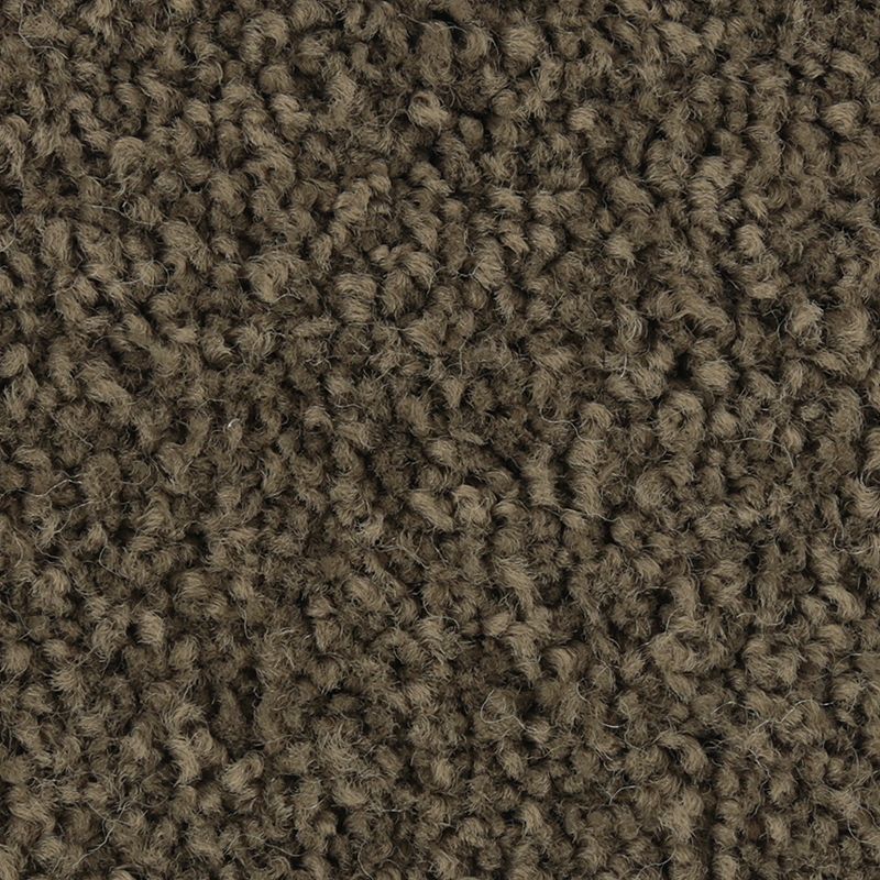 Coastal Fashion I 972 Eternity 35 oz. Nylon Ultrastrand Texture Indoor Carpet Flooring 12' Feet Wide (9 sf / yd)