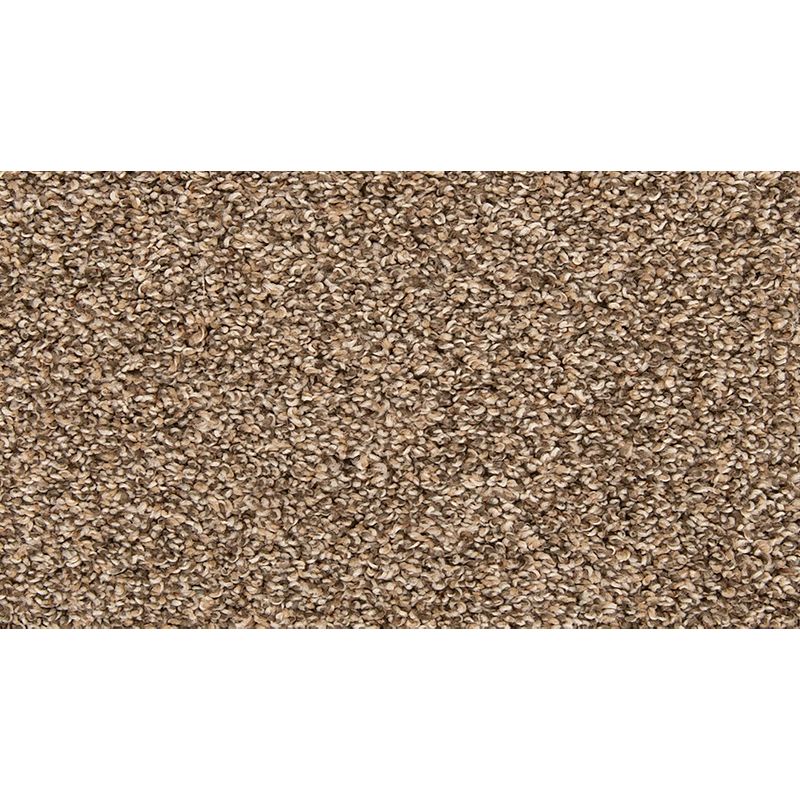 Color Classics II 789 Mystic Wood 45 oz. Polyester Everstrand Texture Indoor Carpet Flooring 12' Feet Wide (9 sf / yd)