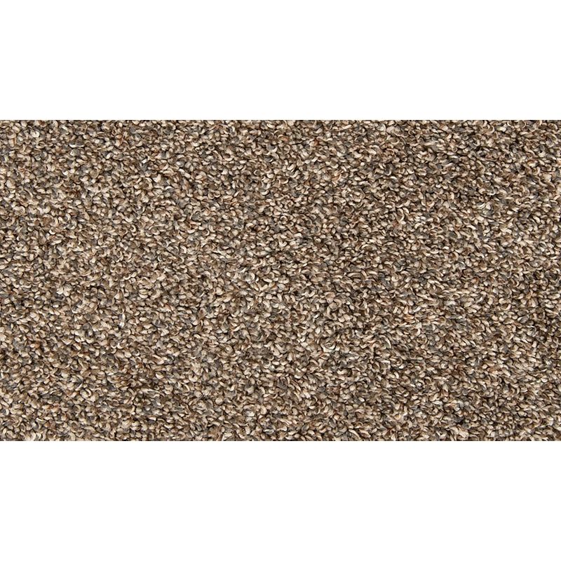 Color Classics II 945 Scotch Mist 45 oz. Polyester Everstrand Texture Indoor Carpet Flooring 12' Feet Wide (9 sf / yd)