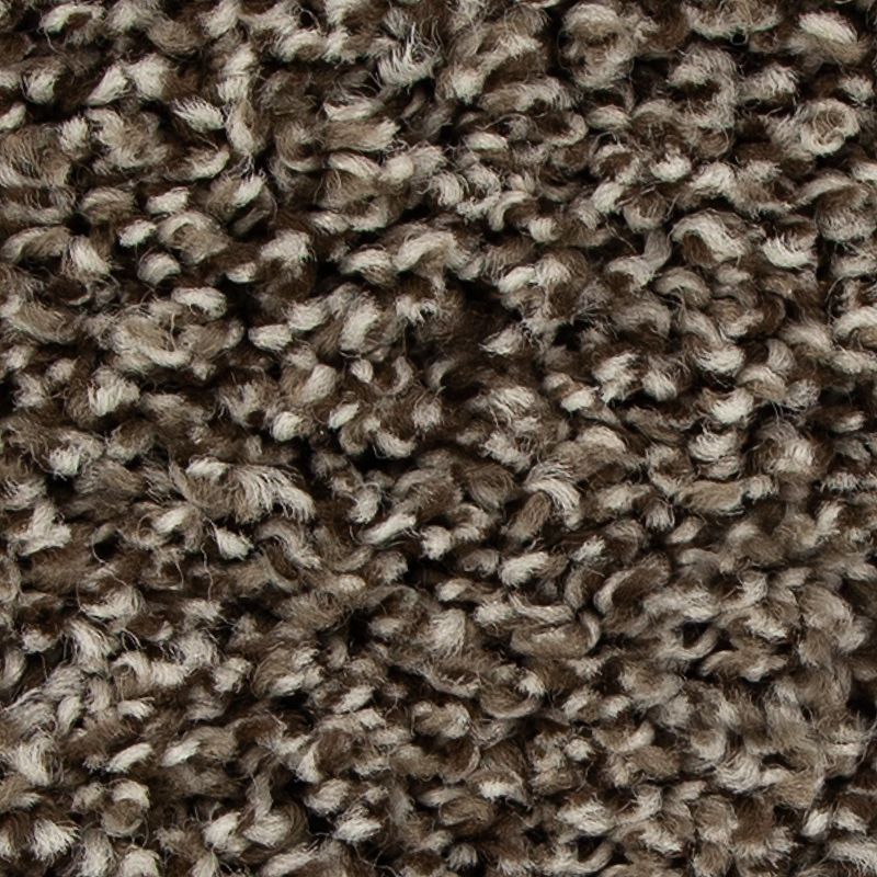 Color Fusion II 889 Highlander 38 oz. Polyester Everstrand Texture Indoor Carpet Flooring 12' Feet Wide (9 sf / yd)