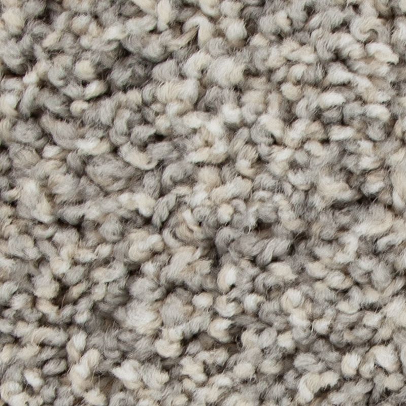 Color Fusion II 919 Twilight 38 oz. Polyester Everstrand Texture Indoor Carpet Flooring 12' Feet Wide (9 sf / yd)