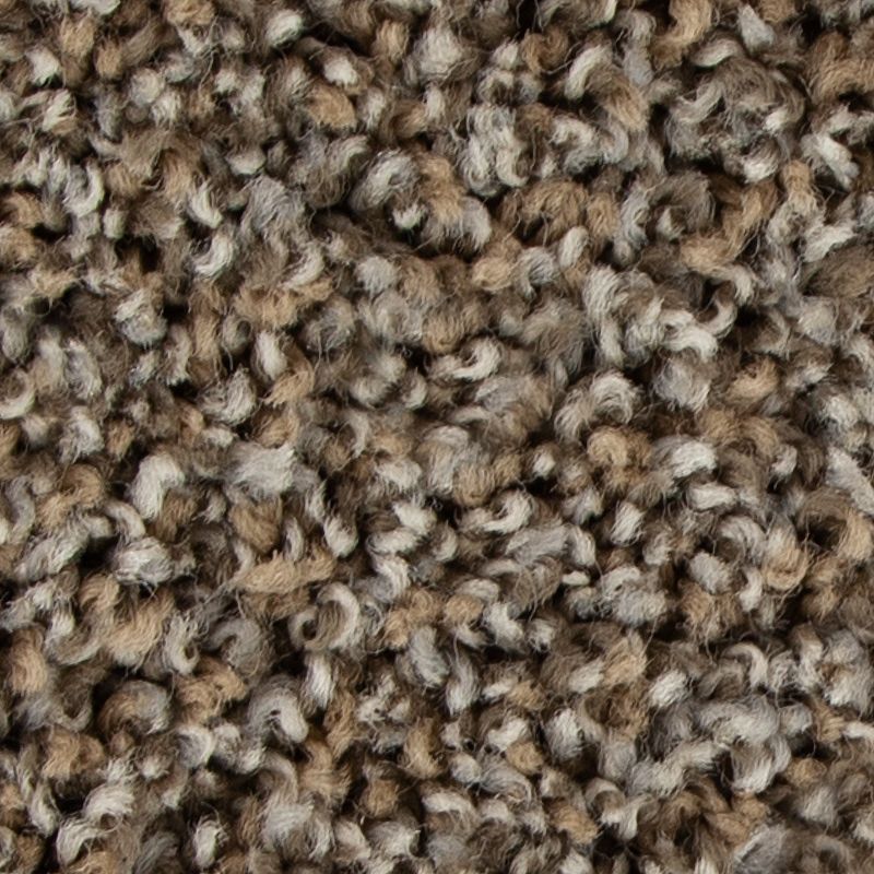 Color Fusion I 849 Driftwood 30 oz. Polyester Everstrand Texture Indoor Carpet Flooring 12' Feet Wide (9 sf / yd)