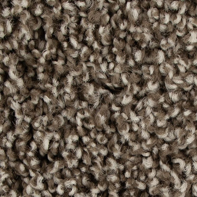 Mohawk 3B52 Color Fusion I 869 Taupe Whisper – Flamingo's Flooring
