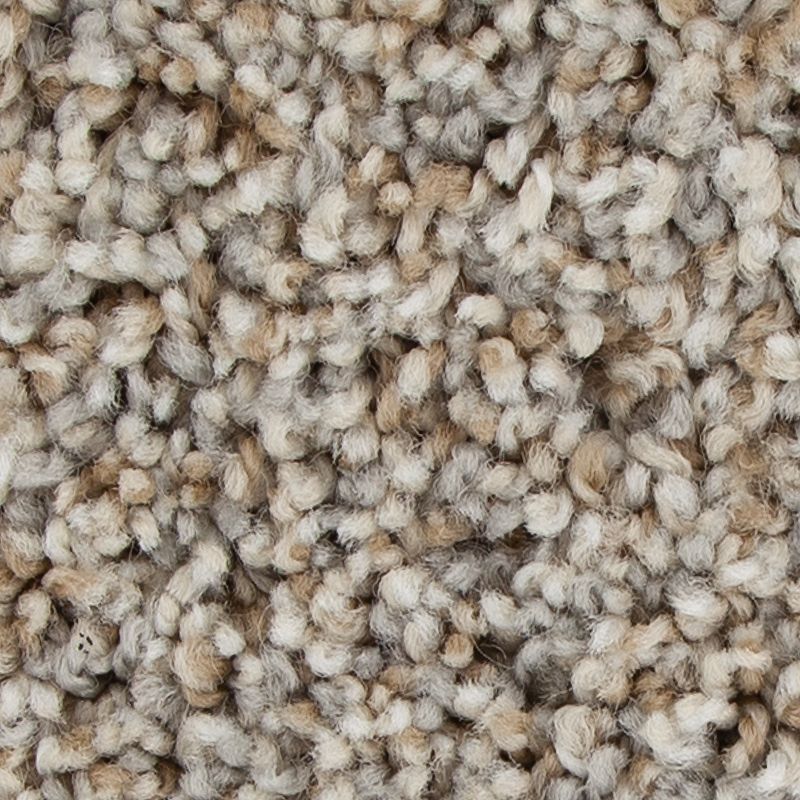 Color Fusion I 912 Colonial Ash 30 oz. Polyester Everstrand Texture Indoor Carpet Flooring 12' Feet Wide (9 sf / yd)