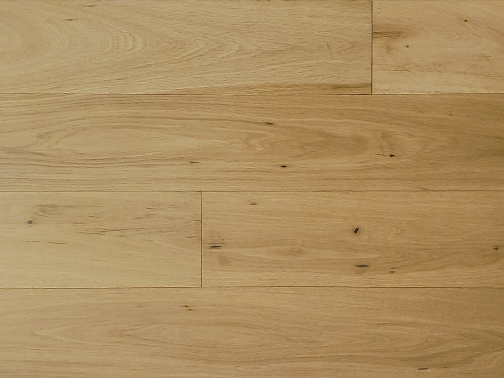 Contempo_Carolean_CNCA003_01.jpg