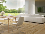 Contempo_Lancet_CNLN010_02.jpg