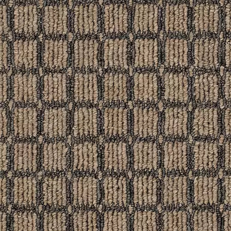 Corner Block 758 South Hill 20 oz. Polyester EnviroStrand SD Indoor Loop Broadloom Flooring 12' Feet Wide (9 sf / yd)