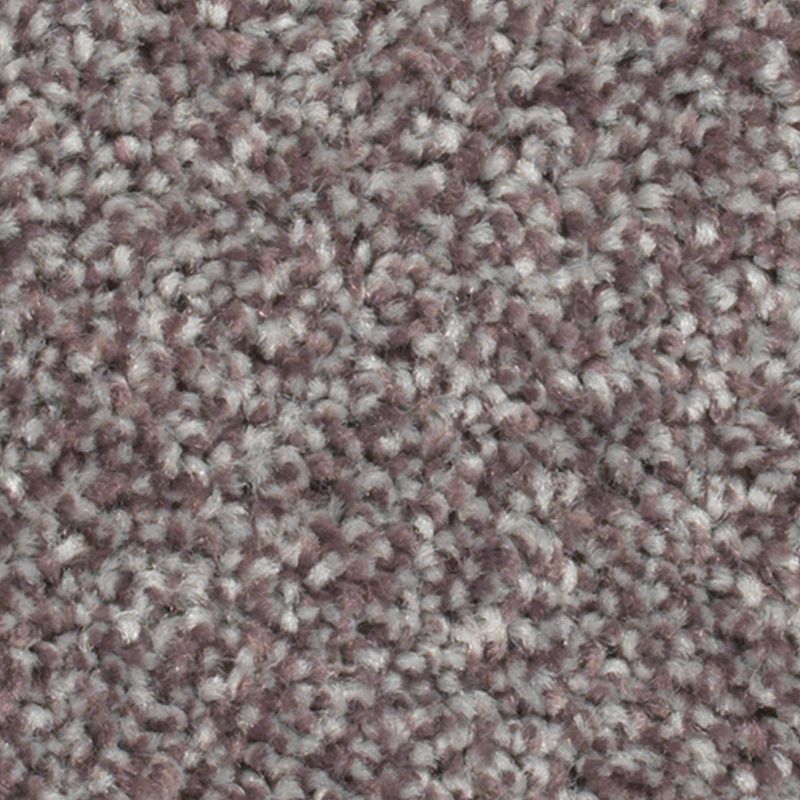 Crestview 889 Enchanting 30 oz. Polyester Everstrand Texture Indoor Carpet Flooring 12' Feet Wide (9 sf / yd)