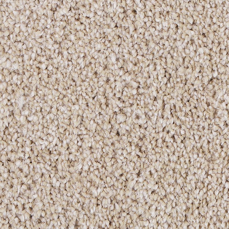 Delicate Tones II 745 Harmonious 55 oz. Triexta Smartstrand Silk Texture Indoor Carpet Flooring 12' Feet Wide (9 sf / yd)