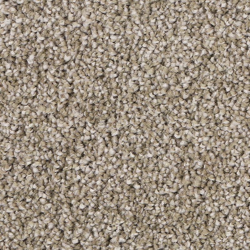 Delicate Tones II 779 Balsam Beige 55 oz. Triexta Smartstrand Silk Texture Indoor Carpet Flooring 12' Feet Wide (9 sf / yd)