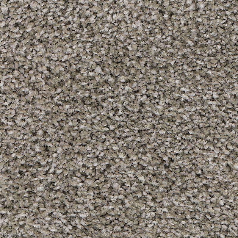 Delicate Tones II 829 Ancestral 55 oz. Triexta Smartstrand Silk Texture Indoor Carpet Flooring 12' Feet Wide (9 sf / yd)