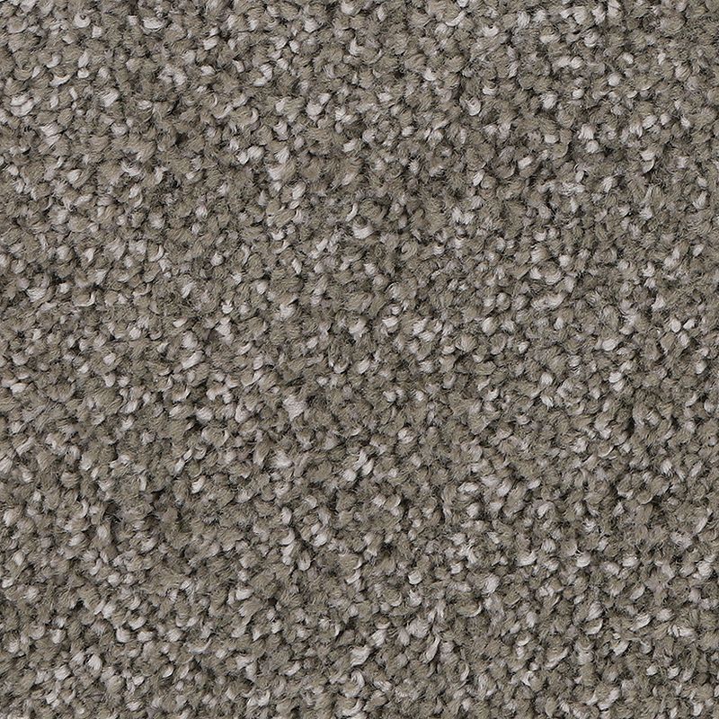 Delicate Tones II 839 Hearthstone 55 oz. Triexta Smartstrand Silk Texture Indoor Carpet Flooring 12' Feet Wide (9 sf / yd)