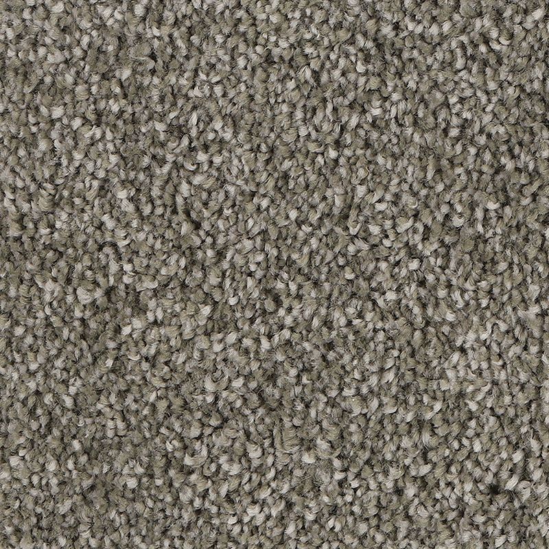 Delicate Tones II 948 Rocky Bluff 55 oz. Triexta Smartstrand Silk Texture Indoor Carpet Flooring 12' Feet Wide (9 sf / yd)