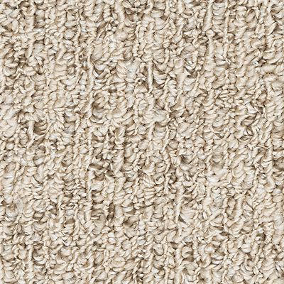 Detailed Comfort 759 Tranquility 42 oz. Polyester Everstrand Loop Indoor Carpet Flooring 12' Feet Wide (9 sf / yd)