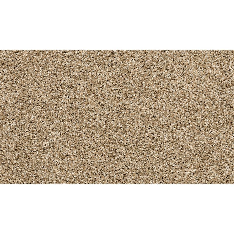 Diffurent Choice III 777 Harmony 58 oz. Polyester Everstrand Texture Indoor Carpet Flooring 12' Feet Wide (9 sf / yd)