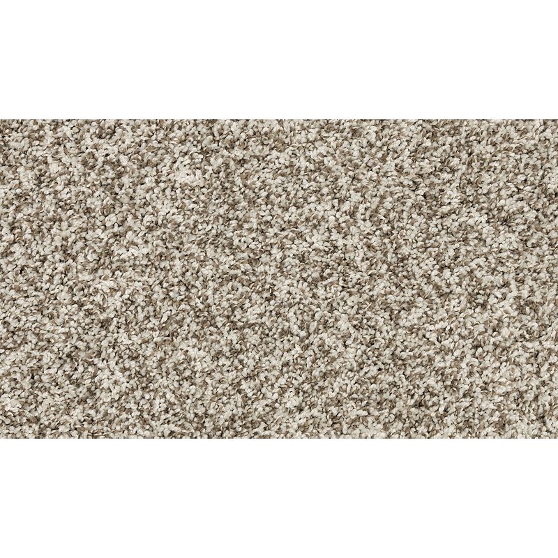 Diffurent Choice II 938 North Winds 45 oz. Polyester Everstrand Texture Indoor Carpet Flooring 12' Feet Wide (9 sf / yd)